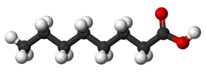 caprylic acid mct