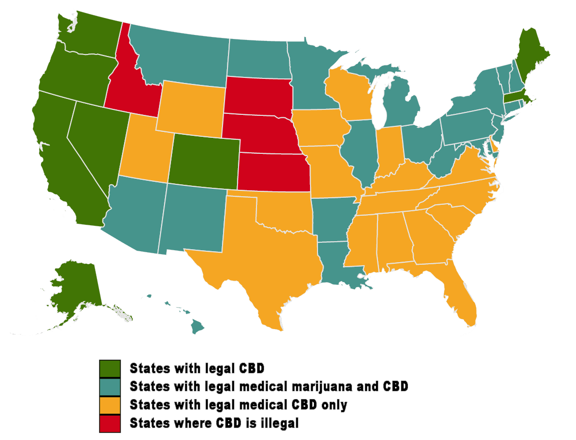 CBD Legality in the U.S. by State Supplements in Review