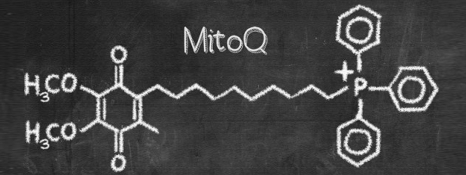 MitoQ compound