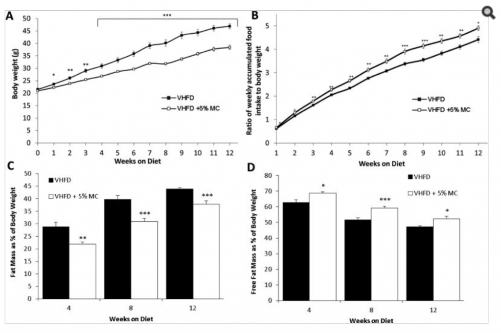 Moringa Oleifera fat loss obesity mice study results