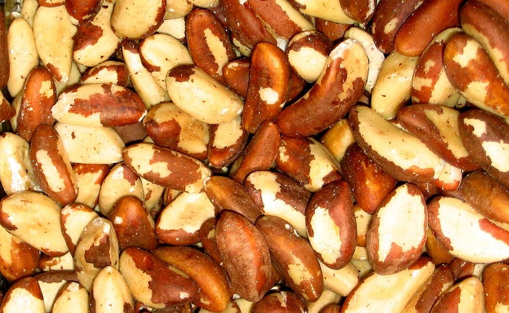 brazil nuts best source of selenium