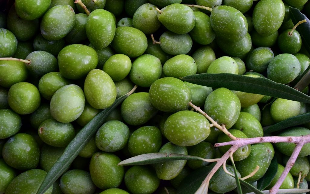 olives hidrox