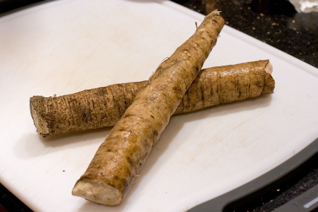 arctium lappa burdock root liver