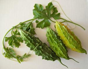 bitter melon fruit and leaves