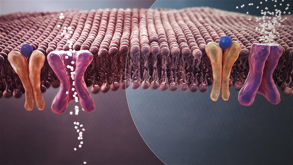 normal blood sugar versus insulin resistance high blood sugar